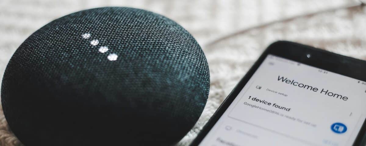 Turned-on charcoal Google Home Mini and smartphone photo